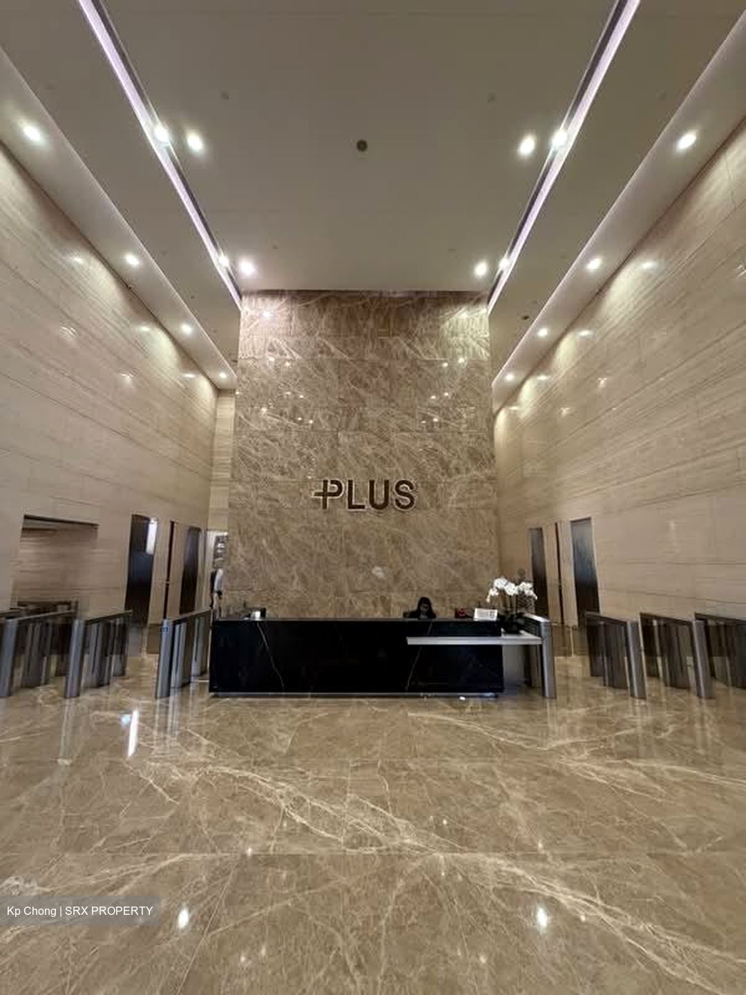 PLUS (D1), Office #562726421